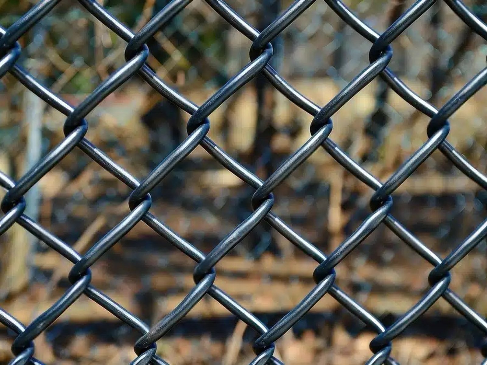 Black vinyl-coated chain link fence enclosing a residential yard